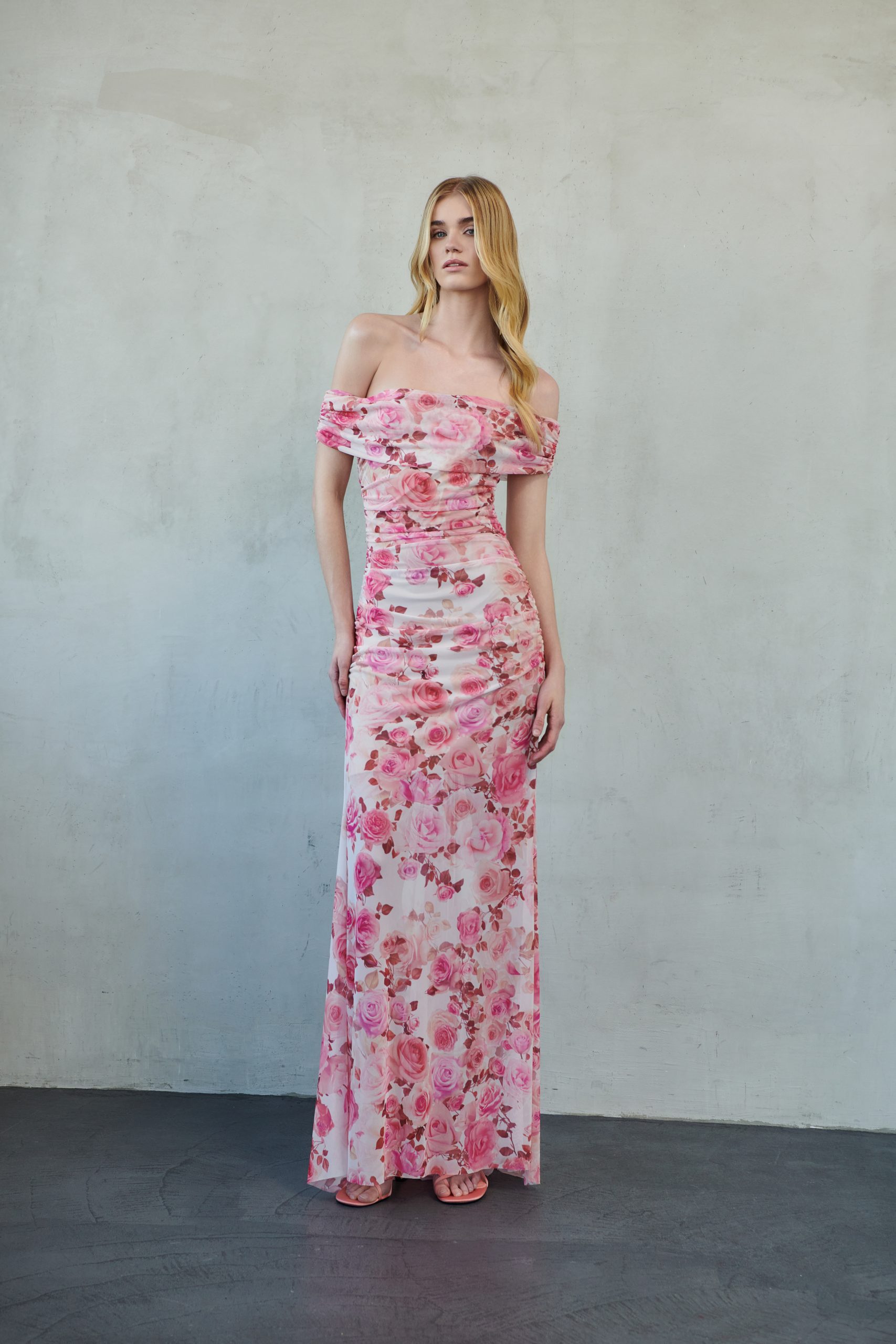 _DSC2886 Felinia Maxi Mesh Dress - Image 1