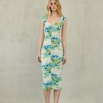 Zayel Midi Mesh Dress