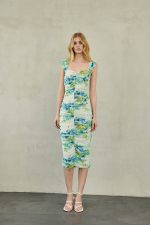 Zayel Midi Mesh Dress