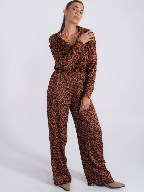 Tortoise Pants